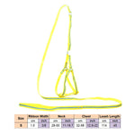 AeroStride™ Breathable No-Choke Harness & Leash Set for Cats & Small Dogs