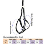 AeroStride™ Breathable No-Choke Harness & Leash Set for Cats & Small Dogs