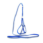 AeroStride™ Breathable No-Choke Harness & Leash Set for Cats & Small Dogs