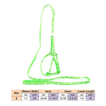 AeroStride™ Breathable No-Choke Harness & Leash Set for Cats & Small Dogs