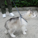AeroStride™ Breathable No-Choke Harness & Leash Set for Cats & Small Dogs