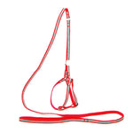 AeroStride™ Breathable No-Choke Harness & Leash Set for Cats & Small Dogs
