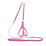 AeroStride™ Breathable No-Choke Harness & Leash Set for Cats & Small Dogs