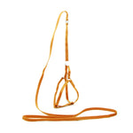 AeroStride™ Breathable No-Choke Harness & Leash Set for Cats & Small Dogs