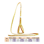 AeroStride™ Breathable No-Choke Harness & Leash Set for Cats & Small Dogs
