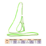 AeroStride™ Breathable No-Choke Harness & Leash Set for Cats & Small Dogs