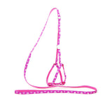 AeroStride™ Breathable No-Choke Harness & Leash Set for Cats & Small Dogs