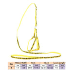 AeroStride™ Breathable No-Choke Harness & Leash Set for Cats & Small Dogs