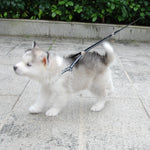 AeroStride™ Breathable No-Choke Harness & Leash Set for Cats & Small Dogs