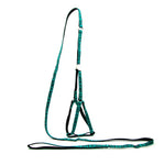 AeroStride™ Breathable No-Choke Harness & Leash Set for Cats & Small Dogs