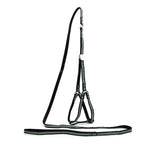 AeroStride™ Breathable No-Choke Harness & Leash Set for Cats & Small Dogs