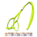 AeroStride™ Breathable No-Choke Harness & Leash Set for Cats & Small Dogs