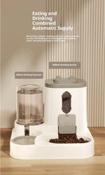 Aura HydroGlow™ 2-in-1 Pet Water Fountain & Food Station