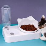 ErgoFeeder™ 15 Degree Tilted Raised Double Bowl for Cats & Small Dogs