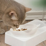 ErgoFeeder™ 15 Degree Tilted Raised Double Bowl for Cats & Small Dogs