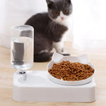 ErgoFeeder™ 15 Degree Tilted Raised Double Bowl for Cats & Small Dogs