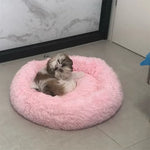 CloudFluff™ Calming Plush Pet Bed for Dog & Cat Anxiety Relief