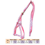 AeroStride™ Breathable No-Choke Harness & Leash Set for Cats & Small Dogs