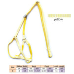 AeroStride™ Breathable No-Choke Harness & Leash Set for Cats & Small Dogs