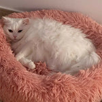 CloudFluff™ Calming Plush Pet Bed for Dog & Cat Anxiety Relief