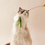 FeatherPounce™ Interactive Feather Wand Toy for House Cats Exercise