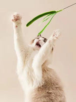 FeatherPounce™ Interactive Feather Wand Toy for House Cats Exercise