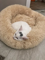 CloudFluff™ Calming Plush Pet Bed for Dog & Cat Anxiety Relief