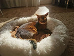 CloudFluff™ Calming Plush Pet Bed for Dog & Cat Anxiety Relief
