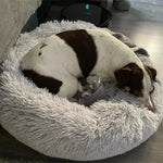 CloudFluff™ Calming Plush Pet Bed for Dog & Cat Anxiety Relief