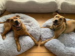 CloudFluff™ Calming Plush Pet Bed for Dog & Cat Anxiety Relief