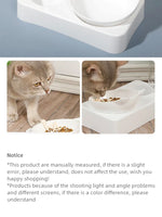 ErgoFeeder™ 15 Degree Tilted Raised Double Bowl for Cats & Small Dogs