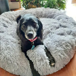 CloudFluff™ Calming Plush Pet Bed for Dog & Cat Anxiety Relief