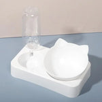 ErgoFeeder™ 15 Degree Tilted Raised Double Bowl for Cats & Small Dogs