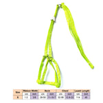 AeroStride™ Breathable No-Choke Harness & Leash Set for Cats & Small Dogs