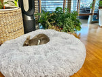 CloudFluff™ Calming Plush Pet Bed for Dog & Cat Anxiety Relief
