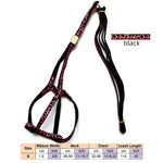 AeroStride™ Breathable No-Choke Harness & Leash Set for Cats & Small Dogs