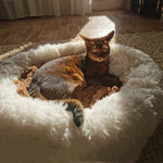 CloudFluff™ Calming Plush Pet Bed for Dog & Cat Anxiety Relief