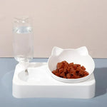 ErgoFeeder™ 15 Degree Tilted Raised Double Bowl for Cats & Small Dogs