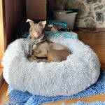 CloudFluff™ Calming Plush Pet Bed for Dog & Cat Anxiety Relief