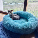 CloudFluff™ Calming Plush Pet Bed for Dog & Cat Anxiety Relief