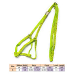 AeroStride™ Breathable No-Choke Harness & Leash Set for Cats & Small Dogs