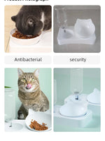 ErgoFeeder™ 15 Degree Tilted Raised Double Bowl for Cats & Small Dogs