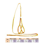 AeroStride™ Breathable No-Choke Harness & Leash Set for Cats & Small Dogs