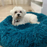 CloudFluff™ Calming Plush Pet Bed for Dog & Cat Anxiety Relief