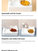 ErgoFeeder™ 15 Degree Tilted Raised Double Bowl for Cats & Small Dogs
