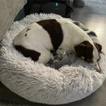 CloudFluff™ Calming Plush Pet Bed for Dog & Cat Anxiety Relief
